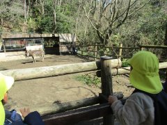 IMG_4528.JPG