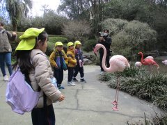 IMG_4452.JPG