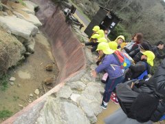 IMG_4459.JPG