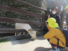 IMG_4476.JPG