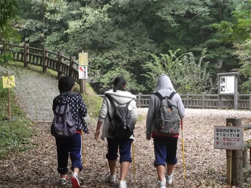 ファイル 141-1.jpg