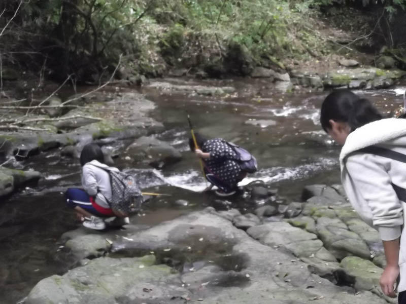 ファイル 141-5.jpg