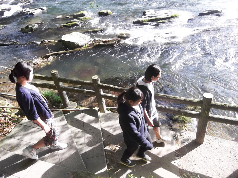 ファイル 164-1.jpg