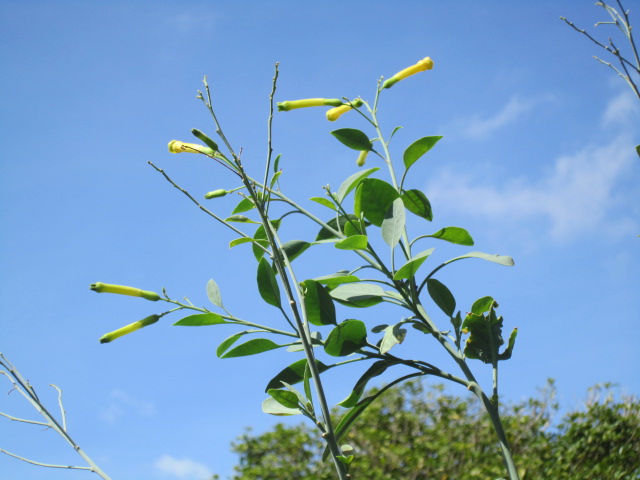 ファイル 173-3.jpg