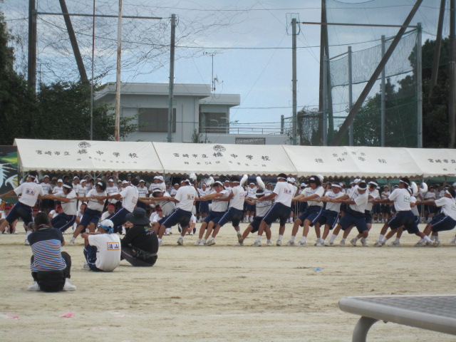 ファイル 175-3.jpg