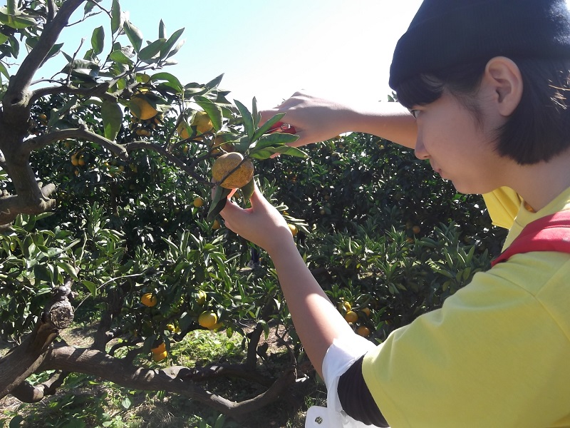 ファイル 178-1.jpg