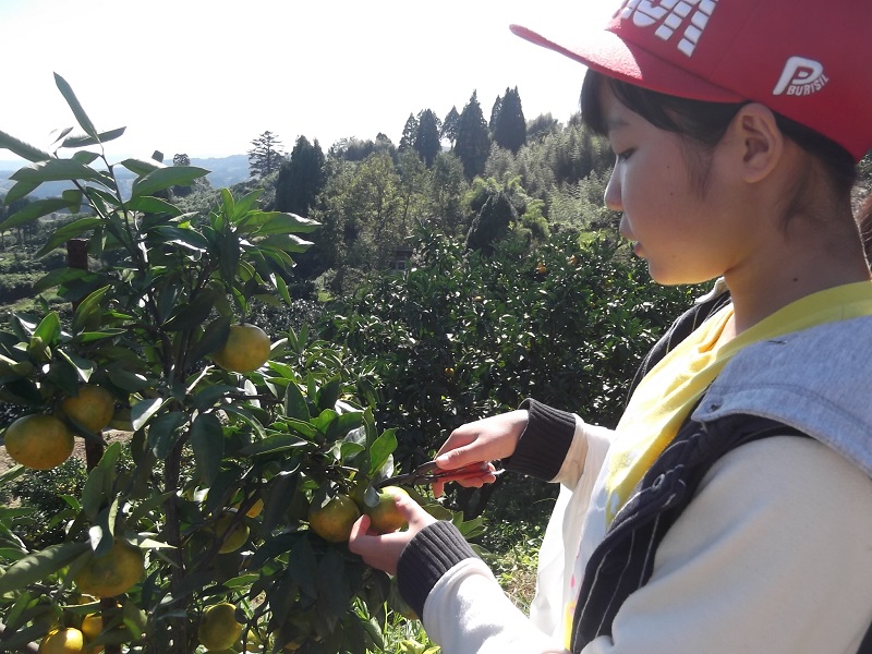 ファイル 178-2.jpg