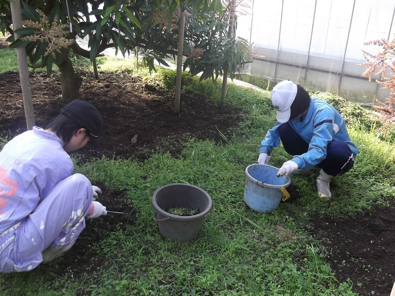 ファイル 74-1.jpg