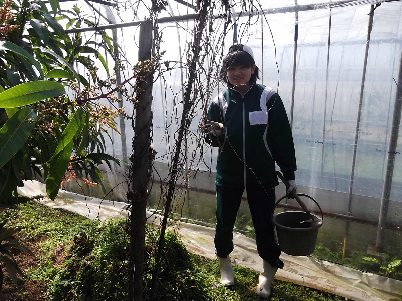 ファイル 74-2.jpg