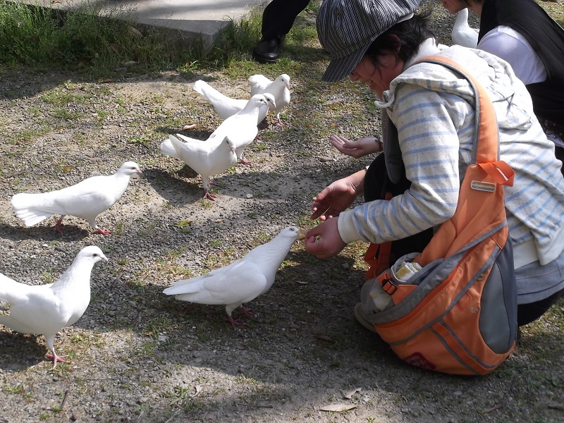 ファイル 77-5.jpg