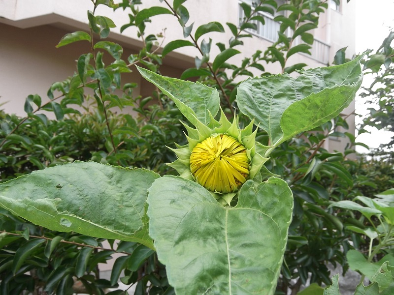 ファイル 91-3.jpg